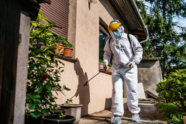 Best Pest Inspection Near Me  in Meade, KS