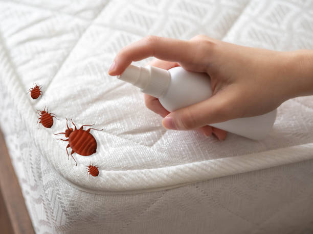 Best Emergency Pest Control  in Meade, KS