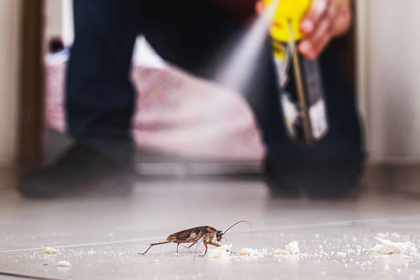 Trusted Meade, KS Pest Control Experts